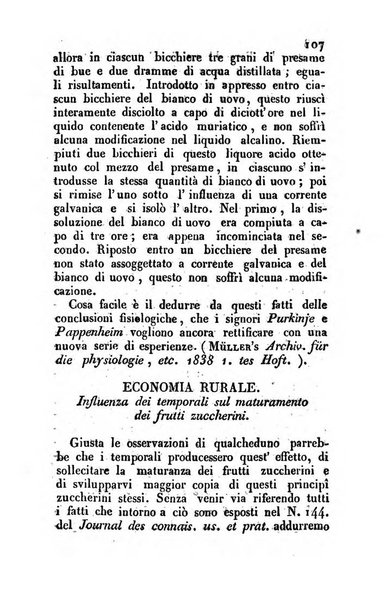 Il Gran Sasso d'Italia opera periodica di scienze mediche ed economiche