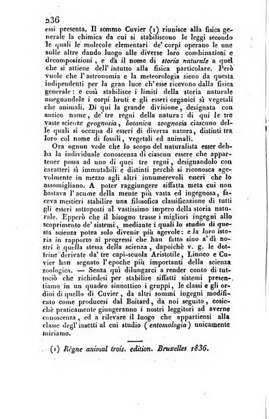 Il Gran Sasso d'Italia opera periodica di scienze mediche ed economiche