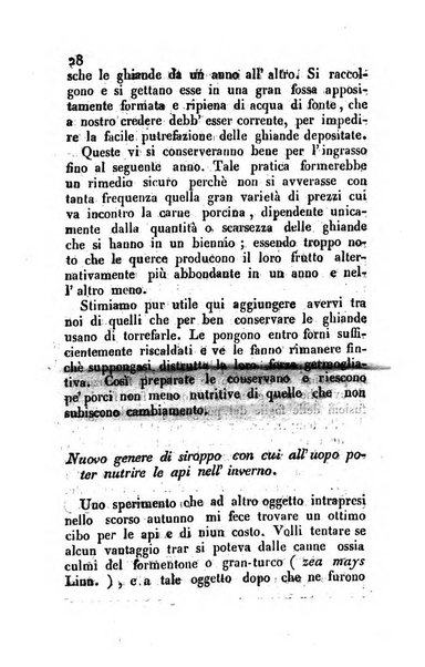 Il Gran Sasso d'Italia opera periodica di scienze mediche ed economiche