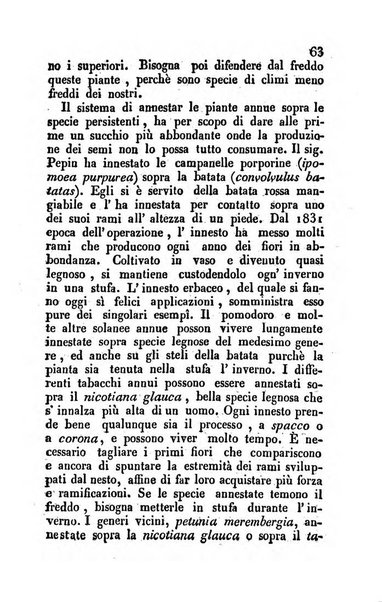 Il Gran Sasso d'Italia opera periodica di scienze mediche ed economiche