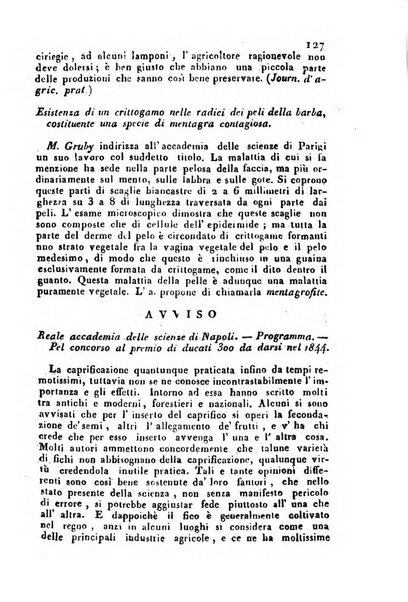 Il Gran Sasso d'Italia opera periodica di scienze mediche ed economiche