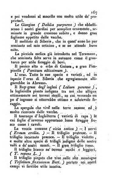 Il Gran Sasso d'Italia opera periodica di scienze mediche ed economiche