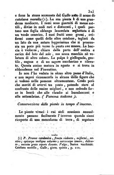 Il Gran Sasso d'Italia opera periodica di scienze mediche ed economiche