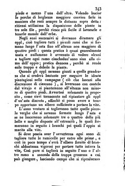 Il Gran Sasso d'Italia opera periodica di scienze mediche ed economiche