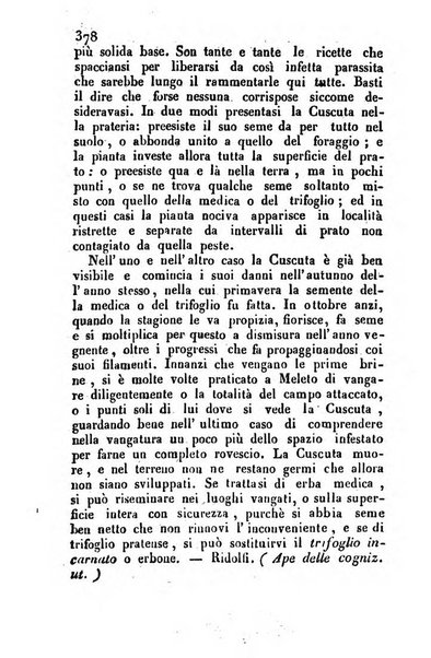 Il Gran Sasso d'Italia opera periodica di scienze mediche ed economiche