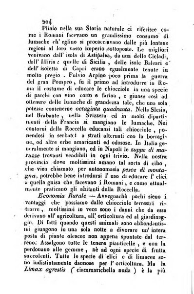 Il Gran Sasso d'Italia opera periodica di scienze mediche ed economiche