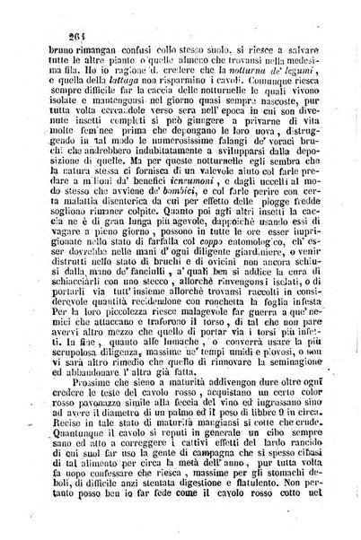 Il Gran Sasso d'Italia opera periodica di scienze mediche ed economiche