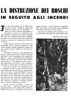 giornale/BA10085887/1939/unico/00000633