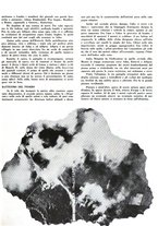 giornale/BA10085887/1940/unico/00000111