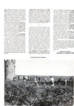giornale/BA10085887/1940/unico/00000177
