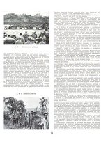 giornale/BA10085887/1940/unico/00000360