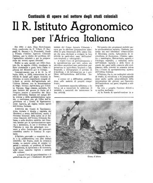 Etiopia rassegna illustrata dell'Impero