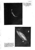 giornale/BVE0232589/1925/v.2/00000021