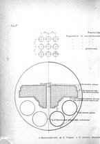 giornale/BVE0240628/1894-1896/unico/00000106