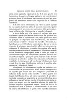 giornale/BVE0240628/1894-1896/unico/00000321