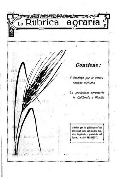 Rivista di esportazione e di importazione