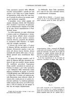 giornale/BVE0242834/1933/unico/00000023