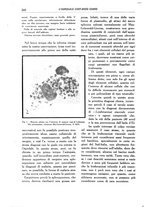 giornale/BVE0242834/1933/unico/00000250