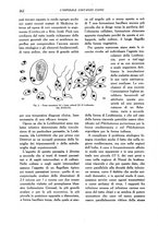 giornale/BVE0242834/1933/unico/00000252