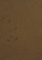 giornale/BVE0242872/1919/v.1/00000001