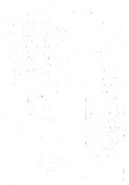 giornale/BVE0242955/1940-1941/unico/00000432