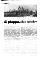 giornale/BVE0244633/1940-1942/unico/00000229