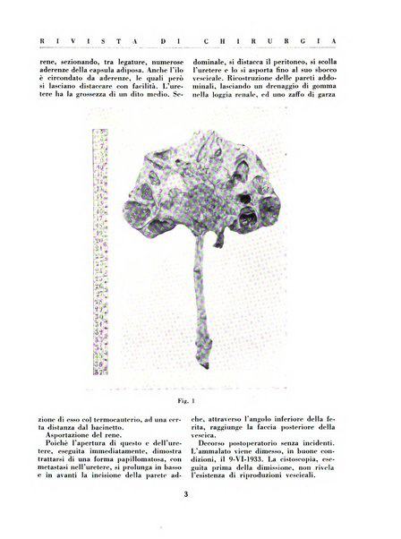 Rivista di chirurgia