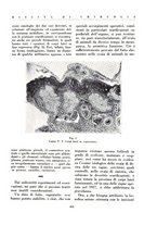 giornale/BVE0244796/1935/v.2/00000011