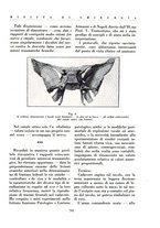 giornale/BVE0244796/1935/v.2/00000333