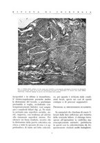giornale/BVE0244796/1936/unico/00000010