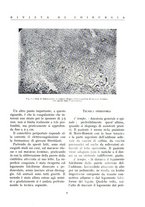 giornale/BVE0244796/1936/unico/00000015