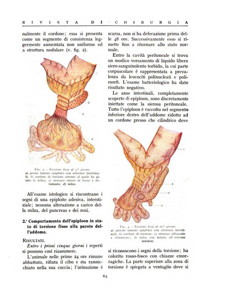 Rivista di chirurgia