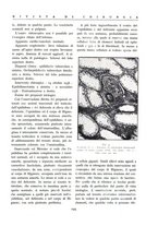 giornale/BVE0244796/1937/unico/00000221