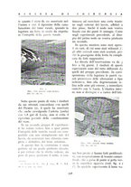 giornale/BVE0244796/1937/unico/00000366