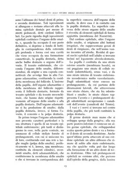 Rivista di chirurgia