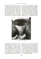 giornale/BVE0244796/1940/unico/00000240