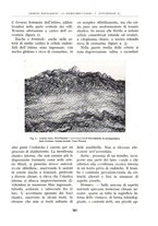 giornale/BVE0244796/1940/unico/00000417