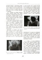 giornale/BVE0244796/1941/unico/00000022