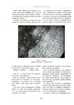 giornale/BVE0244796/1941/unico/00000066