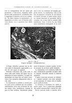 giornale/BVE0244796/1941/unico/00000067