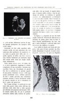 giornale/BVE0244796/1941/unico/00000291