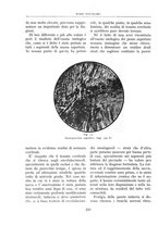 giornale/BVE0244796/1941/unico/00000342