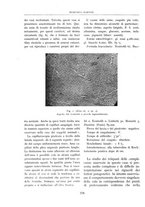 giornale/BVE0244796/1941/unico/00000350