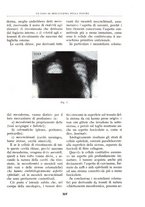 giornale/BVE0244796/1941/unico/00000361