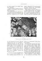 giornale/BVE0244796/1942/unico/00000018