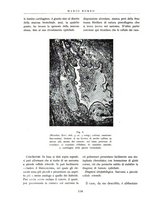giornale/BVE0244796/1942/unico/00000096