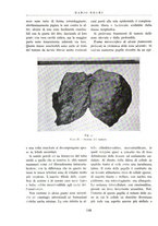 giornale/BVE0244796/1942/unico/00000134