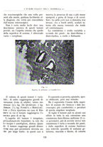 giornale/BVE0244796/1942/unico/00000141