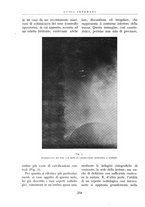 giornale/BVE0244796/1942/unico/00000252