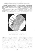 giornale/BVE0244796/1942/unico/00000279